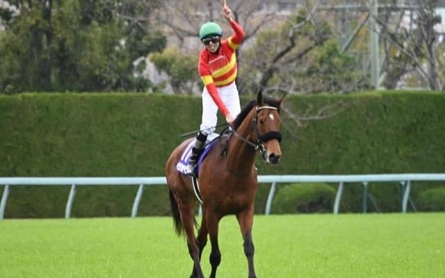 実力馬を打ち破りベラジオオペラがGI初制覇 成長の秘訣は“母父ハービンジャー”にあり