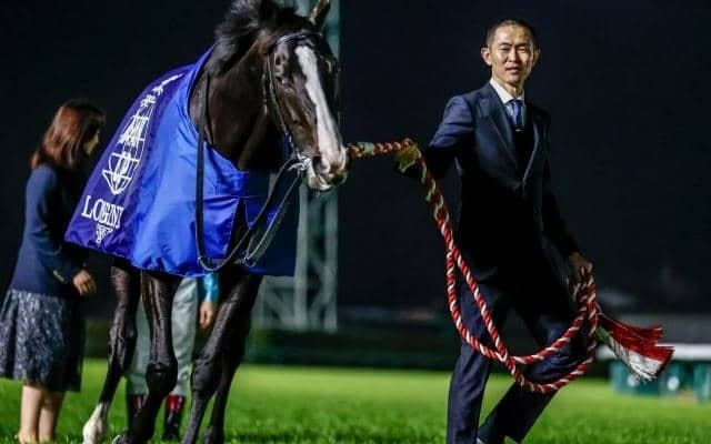 勝ち上がり率は驚異の100% 木村哲也厩舎と好相性を見せる種牡馬とは？