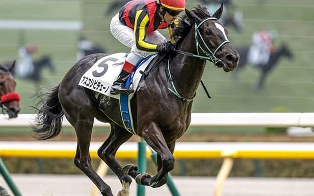 【桜花賞予想オッズ】アスコリピチェーノが予想1番人気