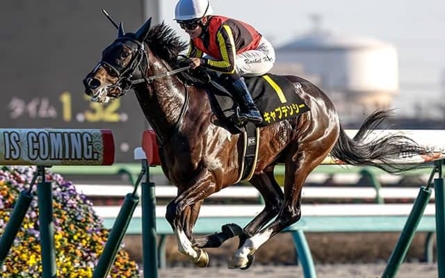 【ニュージーランドT予想オッズ】キャプテンシーが予想1番人気