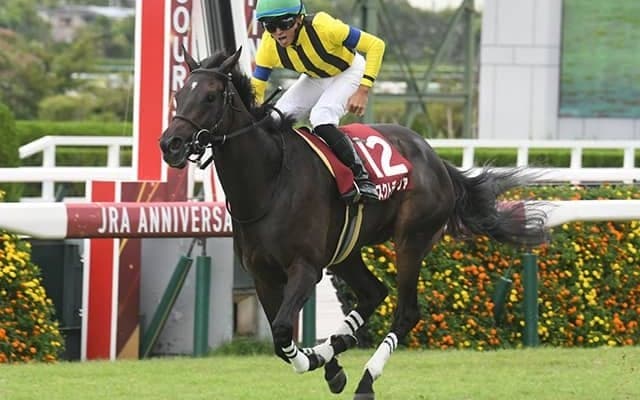 【阪神牝馬S予想オッズ】マスクトディーヴァが予想1番人気