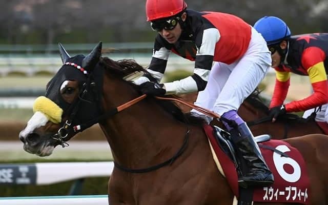 ブルーコンコルドも応援!? クラブ初のJRA・GI獲りにスウィープフィートが挑む