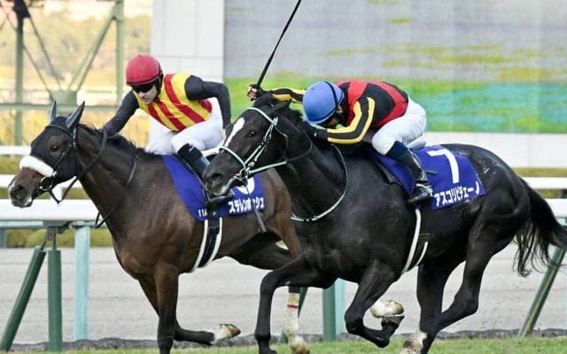安藤勝己が悩み抜いて選定した「３歳牝馬番付」 激戦の牝馬クラシックで勝ち負けを演じるのは？