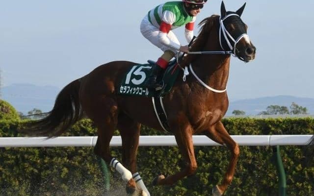 【川崎記念注目馬】レース史上初めてのナイター競馬 春開催となり帝王賞に向けても見逃せぬ一戦に