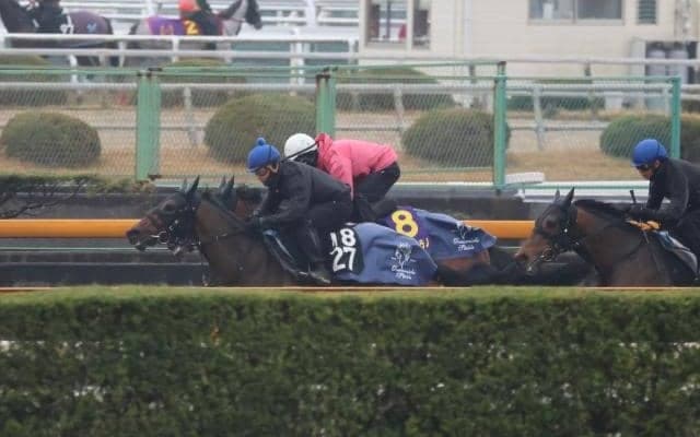 ジャスティンミラノ、皐月賞1週前追い切り速報/栗東トレセンニュース