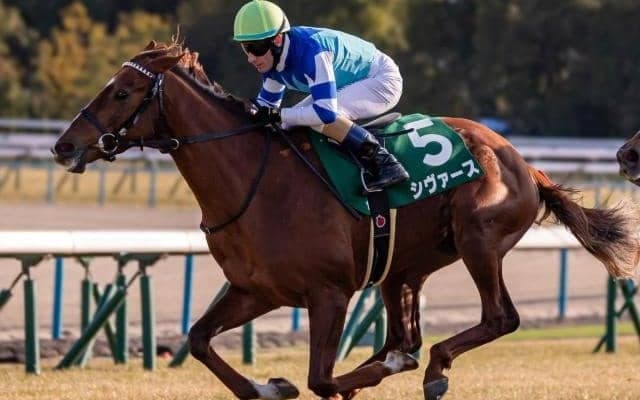 【アーリントンC想定】シヴァース、ディスペランツァなど15頭