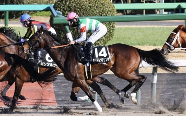 【兵庫女王盃】サーマルソアリングは7枠9番