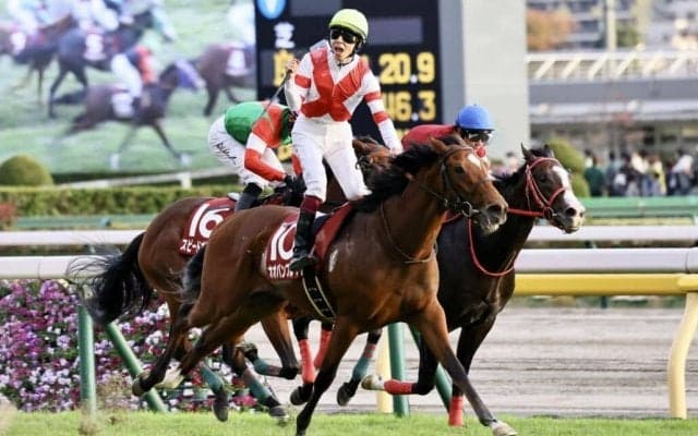 【海外競馬】オオバンブルマイがドンカスターマイル（G1）出走…レーン「良い印象を持ちました」