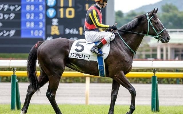 【桜花賞展望】牝馬クラシック第一弾、前走重賞好走組が中心も1番人気の勝利は多くない