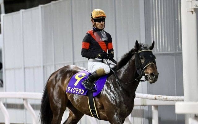 【川崎記念】本田正「道中進まなくて…」ディクテオンは追い込み届かず4着まで