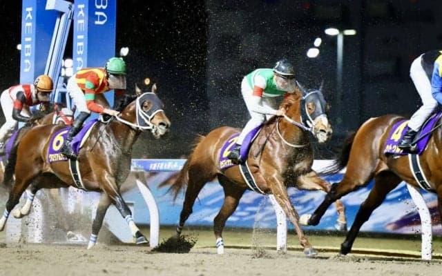 【川崎記念】ムルザバエフ「キックバックに反応していた」…レース後ジョッキーコメント