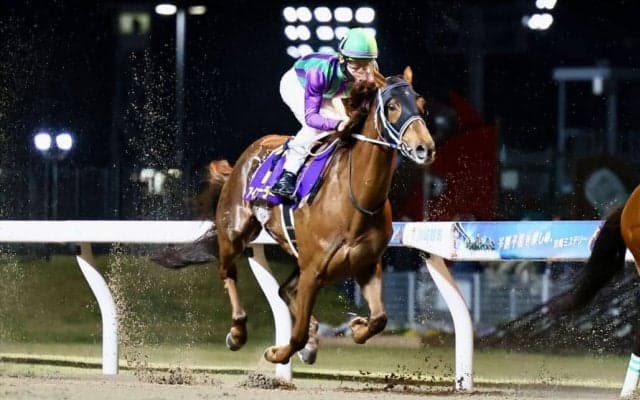 【川崎記念】松山「悔しい結果になりました」アイコンテーラーは惜しい3着