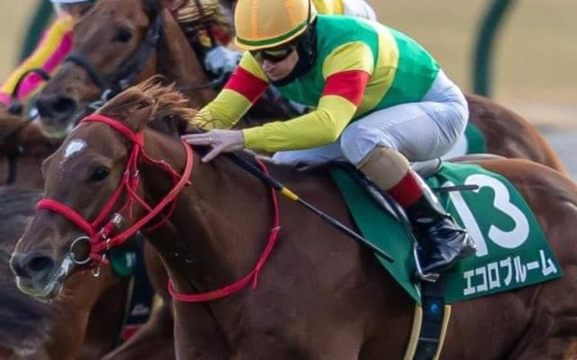 「エコロ」の冠名が重賞初制覇なるか ニュージーランドTにエコロブルームが出走