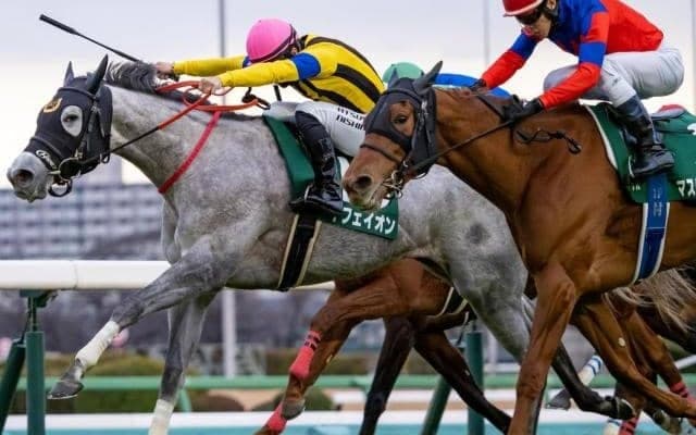 桜花賞で記録ずくめの勝利なるか フェアリーS覇者がGI初挑戦