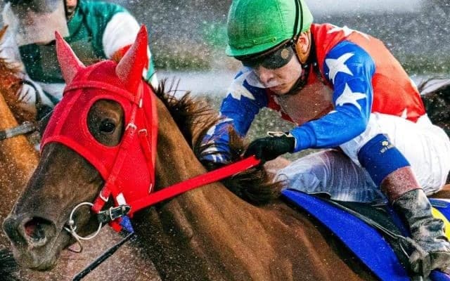 「南関の女王」が芝初挑戦 阪神牝馬Sで地方馬8年ぶりJRA重賞V狙う