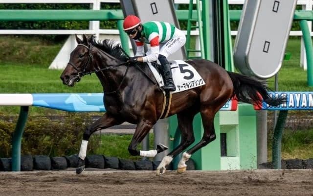 【兵庫女王盃注目馬】大井から園田に移設＆リニューアル 記念すべき第1回覇者に輝くヒロインは 