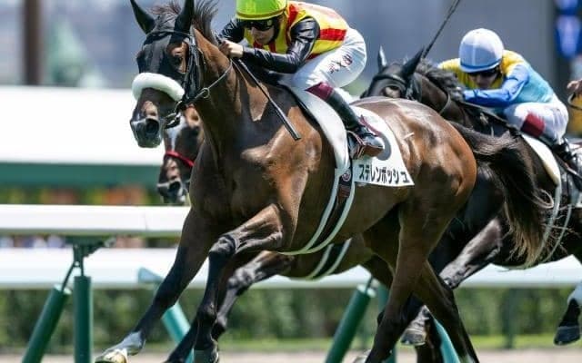 【桜花賞枠順確定】アスコリピチェーノは5枠9番、ステレンボッシュは6枠12番