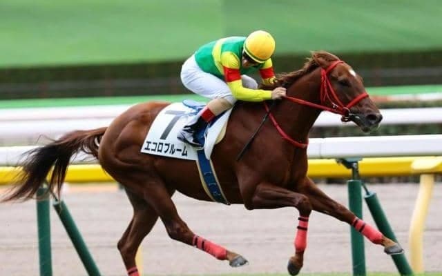 【ニュージーランドT出走馬・騎手確定】キャプテンシー＆M.デムーロ騎手、エコロブルーム＆横山武史騎手など16頭