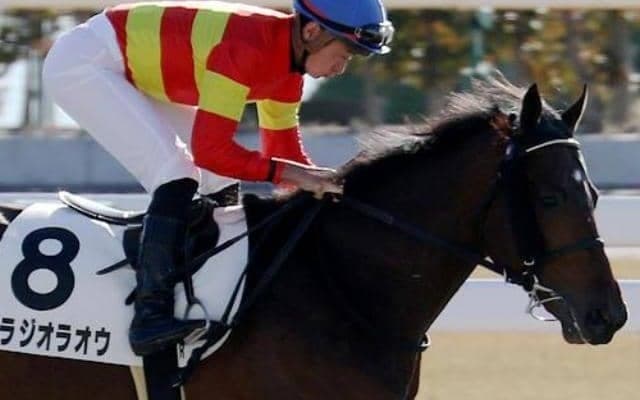 フォーエバーヤングに「唯一人気で勝った馬」ベラジオラオウが待望の初勝利なるか