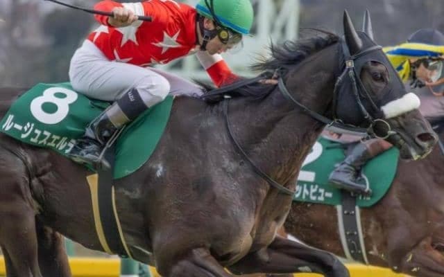 目指せ全世代JRA重賞制覇 ハーツクライのラストクロップがニュージーランドTで偉業達成へ
