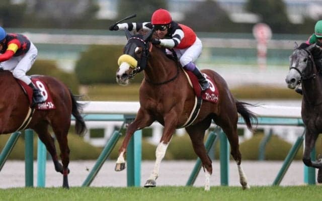 武豊騎手 今週の騎乗馬…桜花賞はスウィープフィートとのコンビ