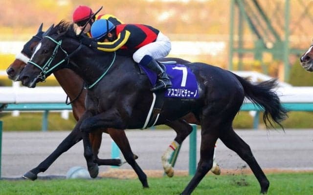 【桜花賞】出走馬の調教後の馬体重