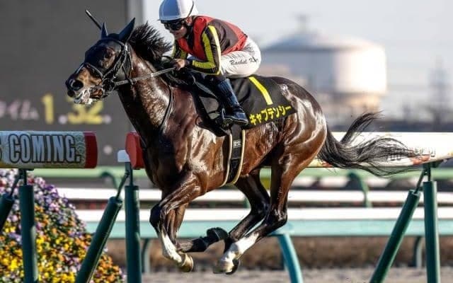 【ニュージーランドT枠順確定】キャプテンシーは6枠11番、ボンドガールは2枠3番