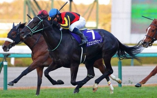 【桜花賞】無敗馬アスコリピチェーノは5枠9番へ