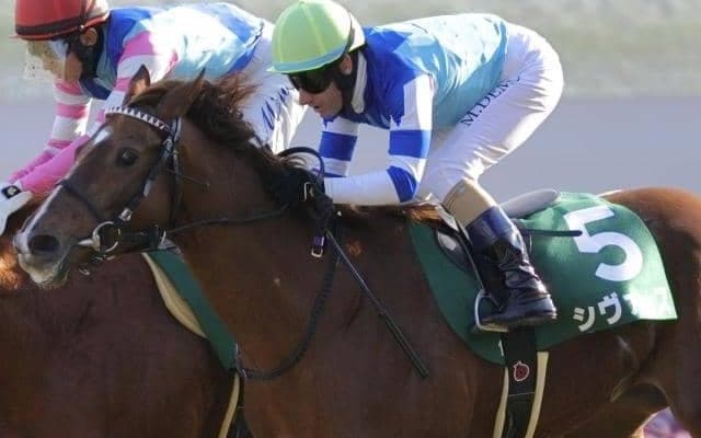 【アーリントンC想定馬・騎手】シヴァース、ディスペランツァなど19頭