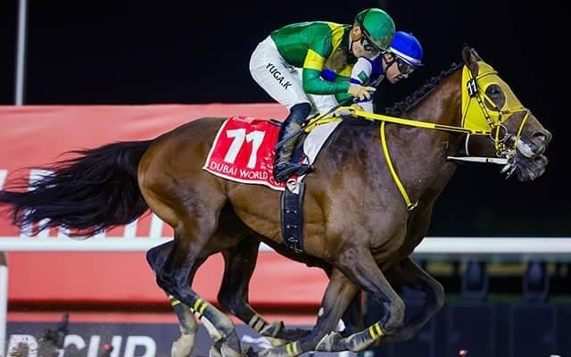 ウシュバテソーロらドバイ遠征馬22頭が帰国