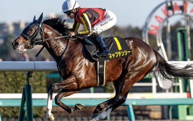 【ニュージーランドT予想】昨年はNHKマイルCでNZT組がワンツー決着 注目度急上昇のステップレース