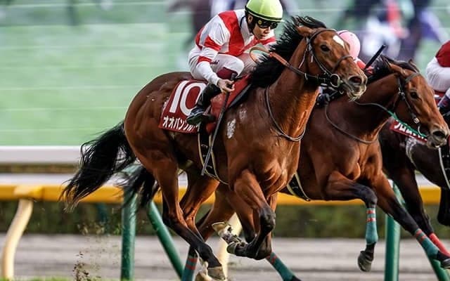 【豪・ドンカスターマイル結果】オオバンブルマイ海外連勝ならず13着 地元3歳馬がV