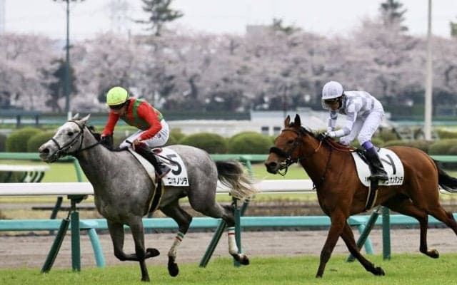 【中山7R】ゴールドシップ産駒 コガネノソラが連勝