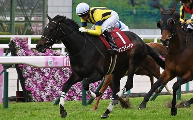 【阪神牝馬S結果】マスクトディーヴァが断然人気に応え重賞2勝目