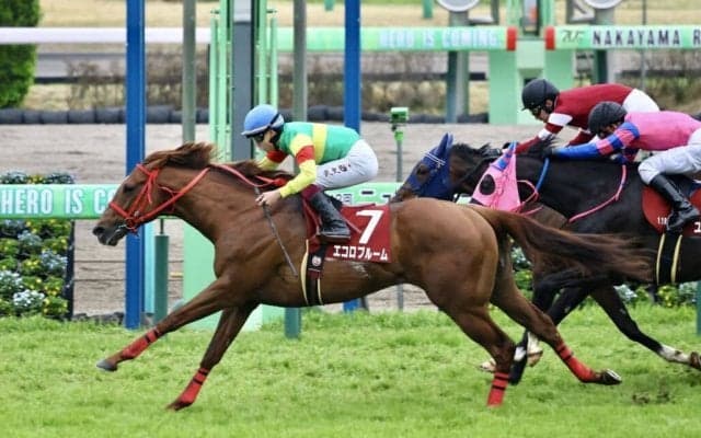 【ニュージーランドT】エコロブルームが鮮やかな差し切り…ボンドガールは2着