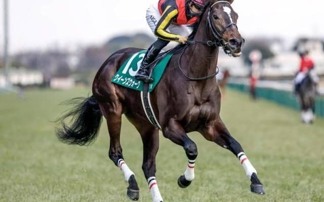 【桜花賞予想】買い時は今回ではなく次走？ 実力＆実績申し分ないクイーンC覇者の取捨