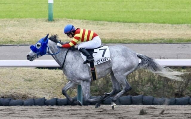 【中山12R】藤田菜七子騎乗、スマイルアップが逃げ切る