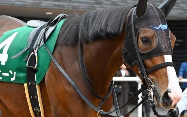良血の珍名馬ヒヒーン 忘れな草賞を制しオークスへの道を切り開くか