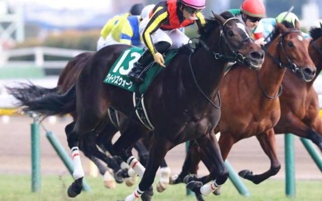 霜降り明星・粗品は桜花賞で3連複2頭軸の8点勝負 「1着固定はできかねる」