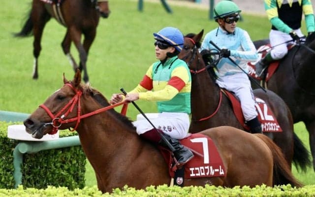 【ニュージーランドT】横山武「馬に助けられた」エコロブルームが鮮やかに抜け出す