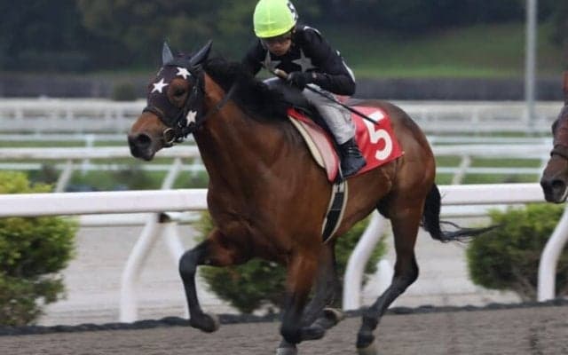 【高知・仙台屋桜特別】プリフロオールインが6連勝…宮川「不安もあった」