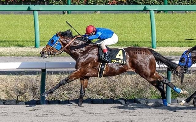 【京葉S結果】シアージストが2番手から抜け出し2連勝