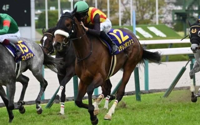 【桜花賞結果】桜の女王はステレンボッシュ！ 2歳女王に雪辱果たし戴冠！