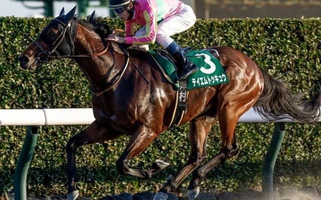 【大井・東京スプリント枠順】重賞連勝狙うテイエムトッキュウは6枠10番