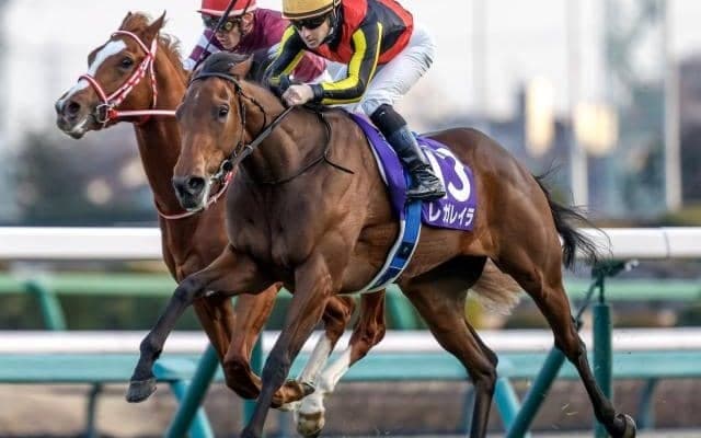 【皐月賞見どころ】紅一点レガレイラが強豪牡馬たちを撃破するか