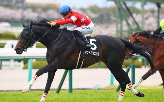 【大阪-ハンブルクC】ディープ産駒 レッドバリエンテがオープン初勝利