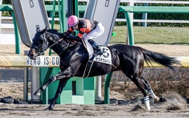 【先週のJRA抹消馬】中山ダ1800m巧者ホウオウルバン、良血馬ヒシゲッコウなど