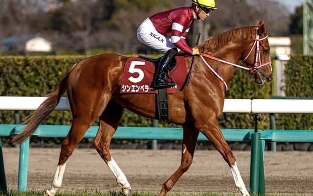 【皐月賞想定騎手】シンエンペラーは坂井瑠星騎手、ジャンタルマンタルは川田将雅騎手