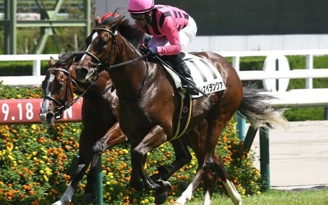 【アーリントンC想定騎手】ディスペランツァはJ.モレイラ騎手、シヴァースは川田将雅騎手