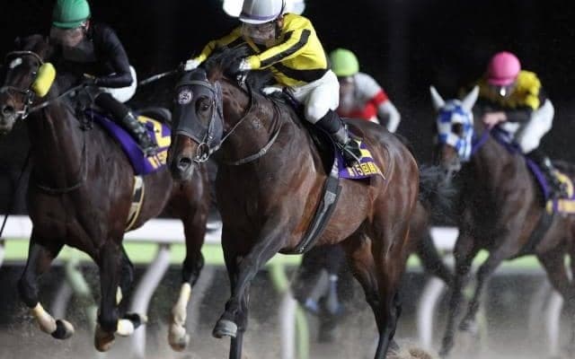 【大井・ブリリアントC枠順】5連勝中のサヨノネイチヤは7枠10番